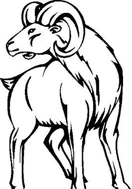 羊 野生動物 矢量CDR_02