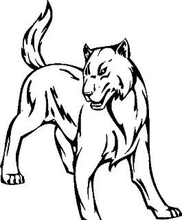 狼 野生動物 矢量CDR_02