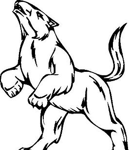 狼 野生動物 矢量CDR_01