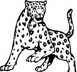 豹 野生動物 矢量CDR_07