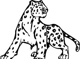 豹 野生動物 矢量CDR_02