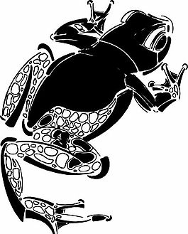 青蛙