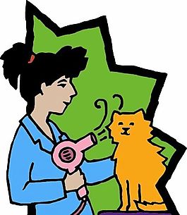 貓