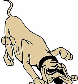 狗