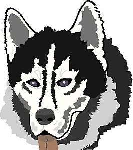 狗