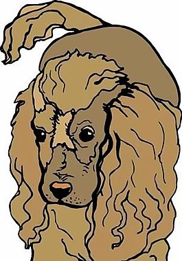 狗