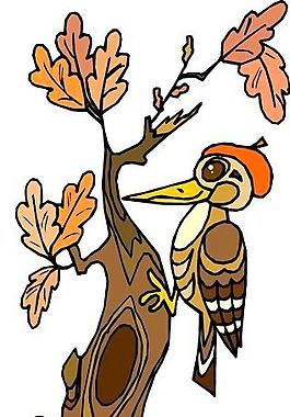 啄木鳥