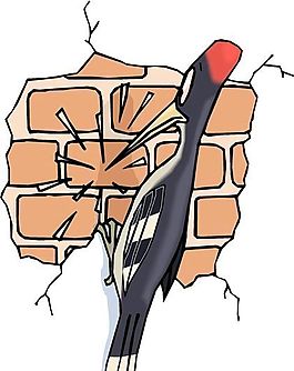 啄木鳥