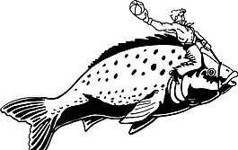 魚(yú)