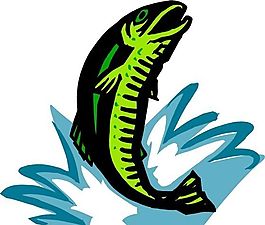 魚
