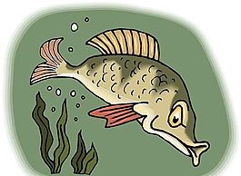 魚