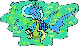 魚(yú)