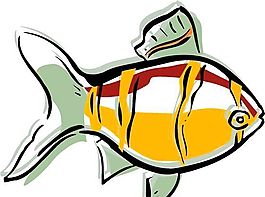 魚(yú)
