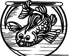 魚(yú)