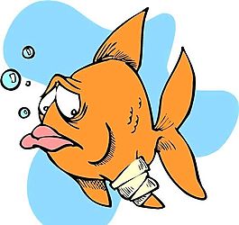 魚