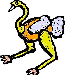 鴕鳥(niǎo)
