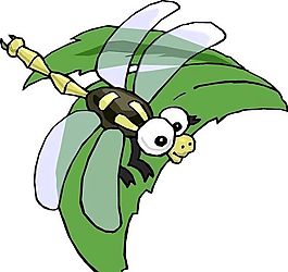 蜻蜓