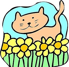 貓