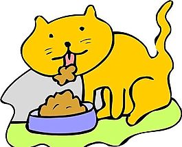 貓