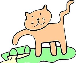 貓