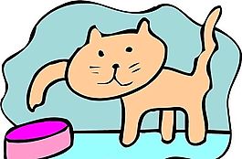 貓