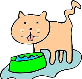 貓