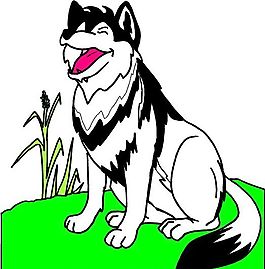 狼