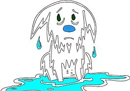 狗