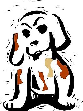 狗