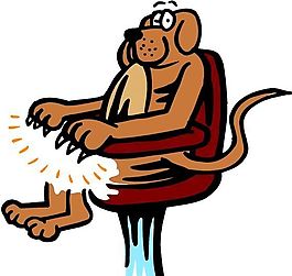 狗