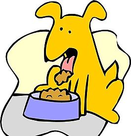 狗