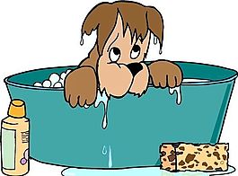 狗