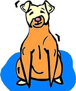 狗