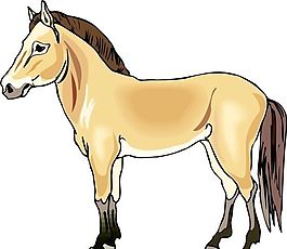 馬 常見動物 矢量素材 EPS格式_0231