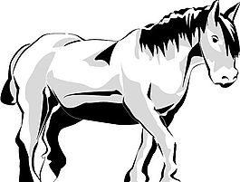 馬 常見動物 矢量素材 EPS格式_0038
