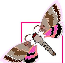五彩蝴蝶 矢量素材 EPS格式_0279