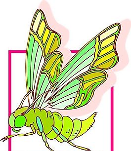 甲蟲 昆蟲 矢量素材 EPS格式_0196