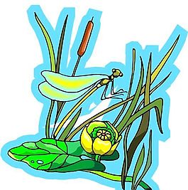 甲蟲 昆蟲 矢量素材 EPS格式_0179