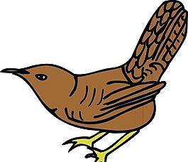 各種鳥類 鳥 動物 矢量素材 EPS格式_1596