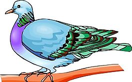 各種鳥類 鳥 動物 矢量素材 EPS格式_1593