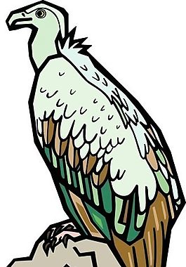 各種鳥類 鳥 動物 矢量素材 EPS格式_1564