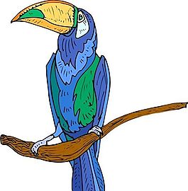 各種鳥類 鳥 動物 矢量素材 EPS格式_1532