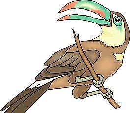各種鳥類 鳥 動物 矢量素材 EPS格式_1529