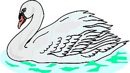 各種鳥類 鳥 動物 矢量素材 EPS格式_1497