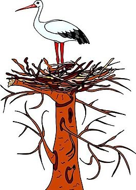 各種鳥類 鳥 動物 矢量素材 EPS格式_1458
