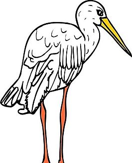 各種鳥類 鳥 動物 矢量素材 EPS格式_1449