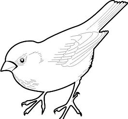 各種鳥類 鳥 動(dòng)物 矢量素材 EPS格式_1434