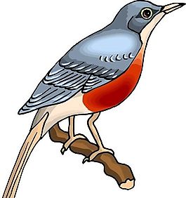 各種鳥類 鳥 動(dòng)物 矢量素材 EPS格式_1382