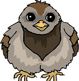 各種鳥類 鳥 動物 矢量素材 EPS格式_1322