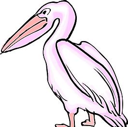 各種鳥類 鳥 動物 矢量素材 EPS格式_1245